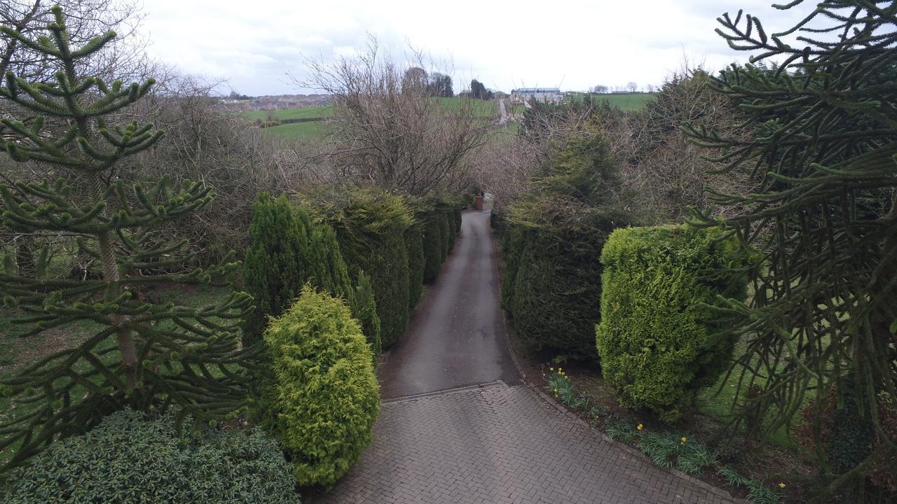 Pinewood Lodge Guest House Omagh Exterior photo